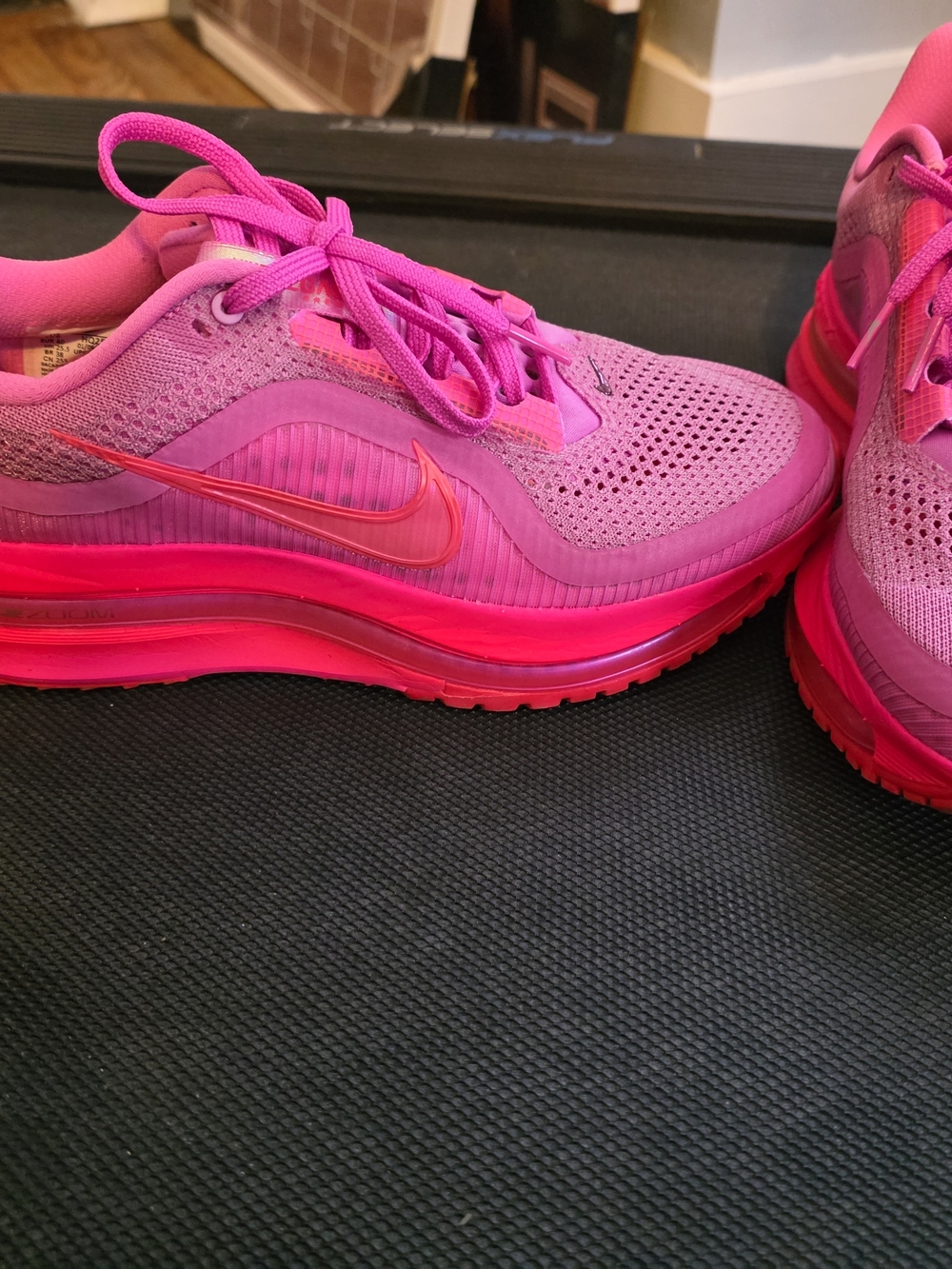 Nike Women’s Hot Pink Mesh Running Sneakers